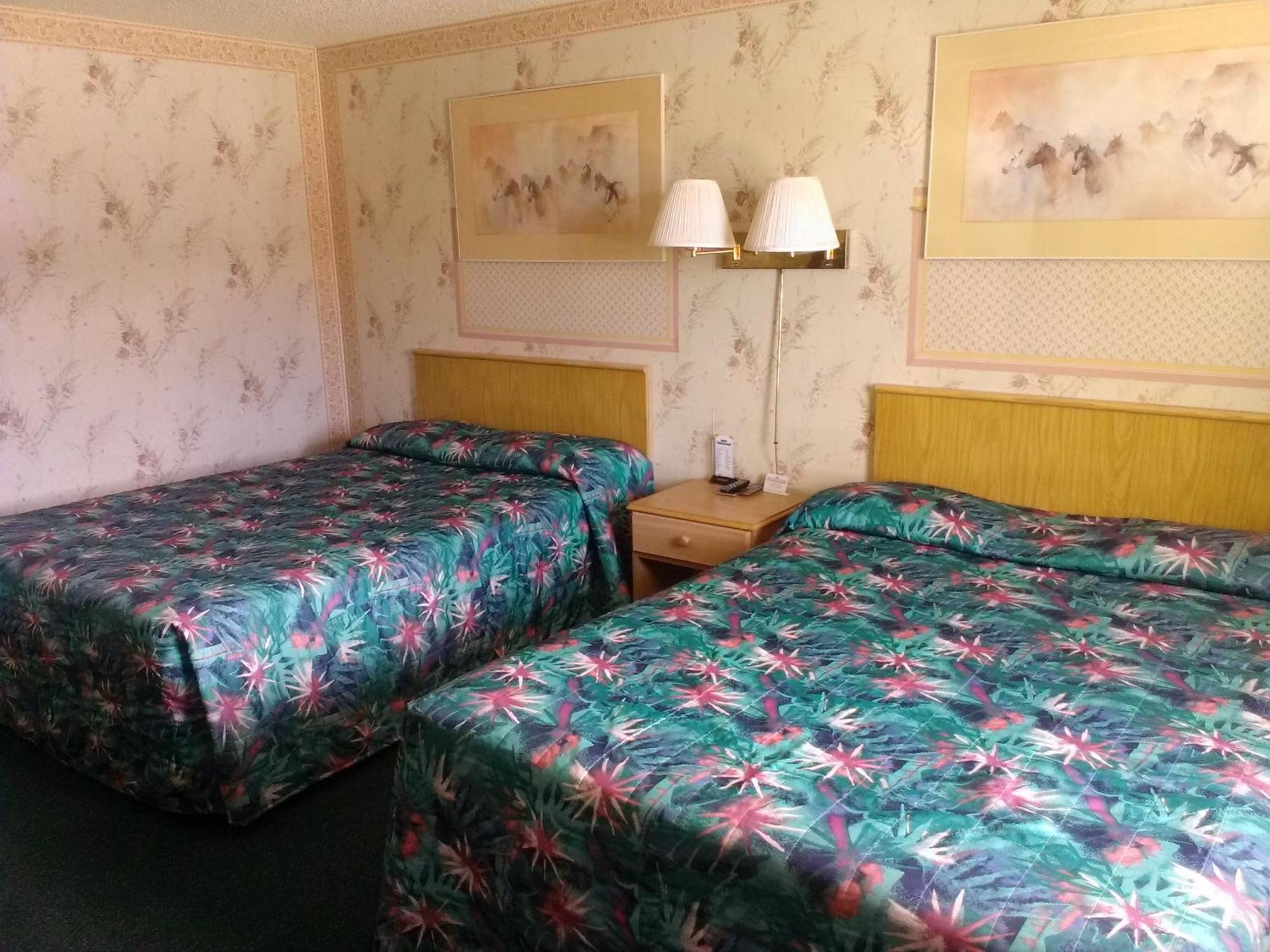 Motel 8 Willcox Phòng bức ảnh